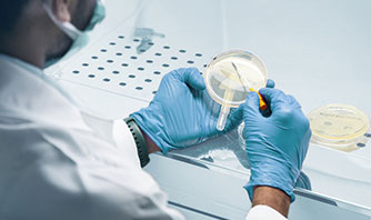 Discover Accurate Lab Medicine Diagnostics